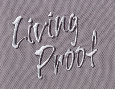 embroidery digitizing letters images